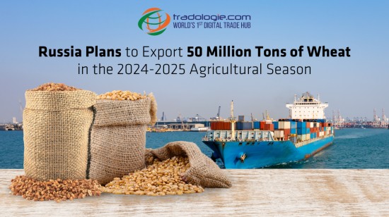 Russia Plans to Export 50 Million Tons of Wheat in the 2024-2025 Agricultural Season.